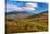 Trees on Giant Mountain From Owls Head, Adirondack Mountains State Park, New York State, USA-null-Stretched Canvas