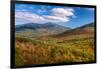 Trees on Giant Mountain From Owls Head, Adirondack Mountains State Park, New York State, USA-null-Framed Photographic Print