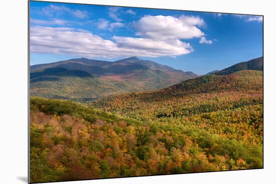 Trees on Giant Mountain From Owls Head, Adirondack Mountains State Park, New York State, USA-null-Mounted Photographic Print