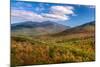 Trees on Giant Mountain From Owls Head, Adirondack Mountains State Park, New York State, USA-null-Mounted Photographic Print