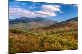 Trees on Giant Mountain From Owls Head, Adirondack Mountains State Park, New York State, USA-null-Mounted Photographic Print