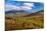 Trees on Giant Mountain From Owls Head, Adirondack Mountains State Park, New York State, USA-null-Mounted Photographic Print