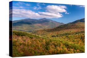 Trees on Giant Mountain From Owls Head, Adirondack Mountains State Park, New York State, USA-null-Stretched Canvas