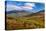 Trees on Giant Mountain From Owls Head, Adirondack Mountains State Park, New York State, USA-null-Stretched Canvas