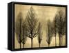 Trees on Gold-Kate Bennett-Framed Stretched Canvas