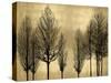 Trees on Gold-Kate Bennett-Stretched Canvas