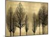 Trees on Gold-Kate Bennett-Mounted Art Print