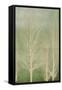 Trees on Green Panel II-Kate Bennett-Framed Stretched Canvas