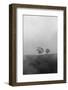 Trees on hill during fog, Malibu, Los Angeles County, California, USA-Panoramic Images-Framed Photographic Print