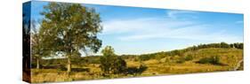 Trees on Hills, Little Round Top, Gettysburg, Adams County, Pennsylvania, USA-null-Stretched Canvas