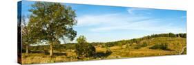 Trees on Hills, Little Round Top, Gettysburg, Adams County, Pennsylvania, USA-null-Stretched Canvas