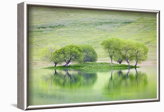 Trees on Island Reflect in Black Butte Reservoir, California, USA-Jaynes Gallery-Framed Photographic Print