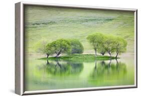 Trees on Island Reflect in Black Butte Reservoir, California, USA-Jaynes Gallery-Framed Photographic Print
