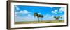 Trees on landscape, Florida, USA-null-Framed Photographic Print