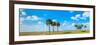 Trees on landscape, Florida, USA-null-Framed Photographic Print