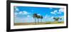 Trees on landscape, Florida, USA-null-Framed Photographic Print