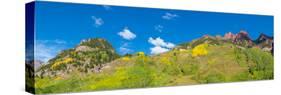 Trees on mountain, Maroon Bells, Maroon Bells-Snowmass Wilderness, White River National Forest,...-null-Stretched Canvas