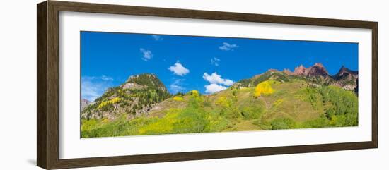 Trees on mountain, Maroon Bells, Maroon Bells-Snowmass Wilderness, White River National Forest,...-null-Framed Photographic Print