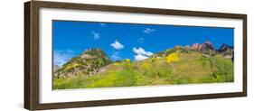 Trees on mountain, Maroon Bells, Maroon Bells-Snowmass Wilderness, White River National Forest,...-null-Framed Photographic Print