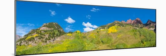 Trees on mountain, Maroon Bells, Maroon Bells-Snowmass Wilderness, White River National Forest,...-null-Mounted Photographic Print