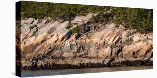 Trees on mountain, Mount Desert Island, Acadia National Park, Hancock County, Maine, USA-null-Stretched Canvas