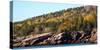 Trees on mountain, Mount Desert Island, Acadia National Park, Hancock County, Maine, USA-null-Stretched Canvas