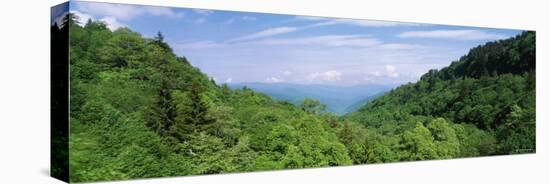 Trees on Mountains, Great Smoky Mountains National Park, Tennessee, USA-null-Stretched Canvas