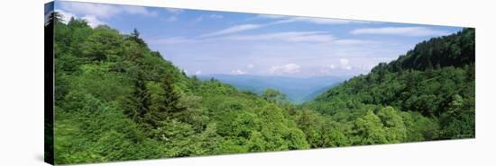 Trees on Mountains, Great Smoky Mountains National Park, Tennessee, USA-null-Stretched Canvas