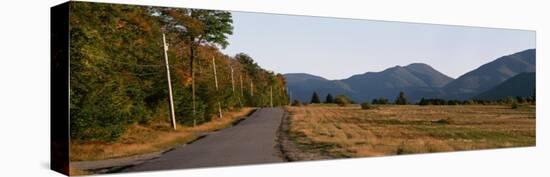 Trees on One Side of Loj Road, Sawtooth Mountain, Lake Placid, New York State, USA-null-Stretched Canvas