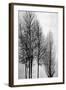 Trees on Silver Panel I-Kate Bennett-Framed Art Print