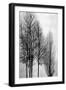 Trees on Silver Panel I-Kate Bennett-Framed Art Print