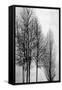 Trees on Silver Panel I-Kate Bennett-Framed Stretched Canvas