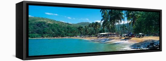 Trees on the Beach, Arapito Beach, Mochima National Park, Anzoategui State-Sucre State, Venezuela-null-Framed Stretched Canvas