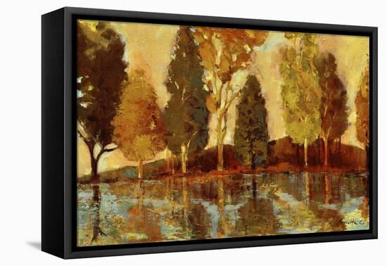 Trees on the Lake-Marietta Cohen-Framed Stretched Canvas