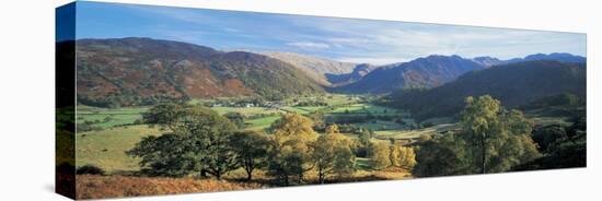 Trees on the Mountainside, Borrowdale, Lake District, England-null-Stretched Canvas