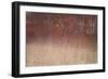 Trees on Wind 2-Moises Levy-Framed Photographic Print