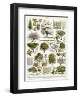 Trees, Orchard Trees-null-Framed Art Print