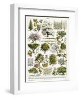 Trees, Orchard Trees-null-Framed Art Print