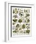 Trees, Orchard Trees-null-Framed Art Print