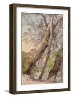 Trees Overhanging Water, 1800-Francis Towne-Framed Giclee Print