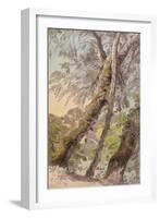 Trees Overhanging Water, 1800-Francis Towne-Framed Giclee Print