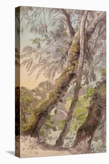 Trees Overhanging Water, 1800-Francis Towne-Stretched Canvas