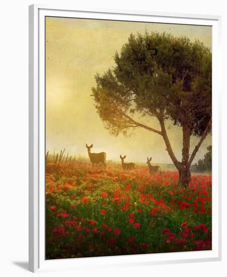 Trees, Poppies and Deer II-Chris Vest-Framed Premium Giclee Print