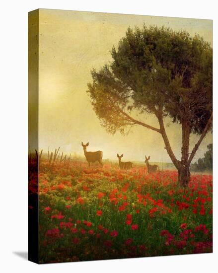 Trees, Poppies and Deer II-Chris Vest-Stretched Canvas