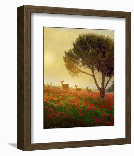 Trees, Poppies and Deer II-Chris Vest-Framed Art Print