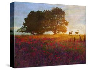 Trees, Poppies and Deer III-Chris Vest-Stretched Canvas