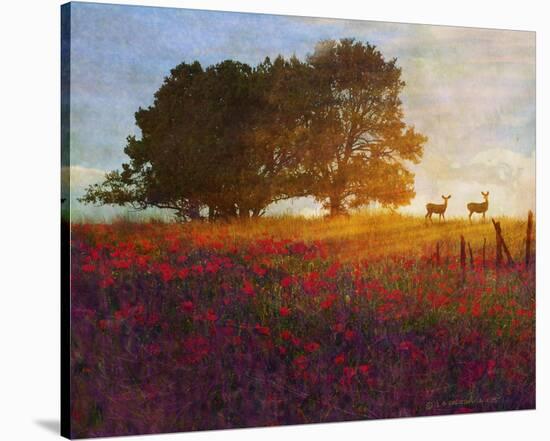 Trees, Poppies and Deer III-Chris Vest-Stretched Canvas