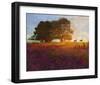 Trees, Poppies and Deer III-Chris Vest-Framed Art Print