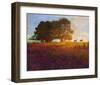 Trees, Poppies and Deer III-Chris Vest-Framed Art Print