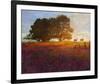 Trees, Poppies and Deer III-Chris Vest-Framed Art Print